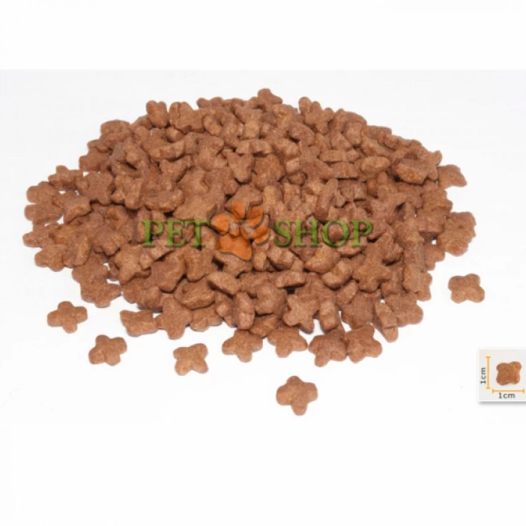 <p><strong>BonaCibo Kitten -&nbsp;сбалансированный и полнорационный сухой корм на основе мяса курицы, анчоусов и риса для котят возрастом до 12 месяцев, беременных и кормящих кошек всех пород.</strong></p>