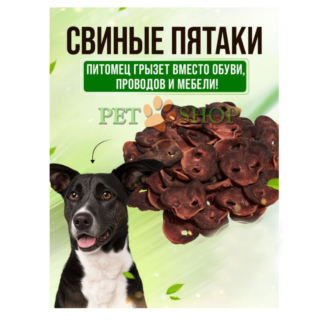 <p><strong>Пятачок свиной&nbsp;для собак, 64-68&nbsp;г,&nbsp;в упаковке 2&nbsp;шт</strong></p>