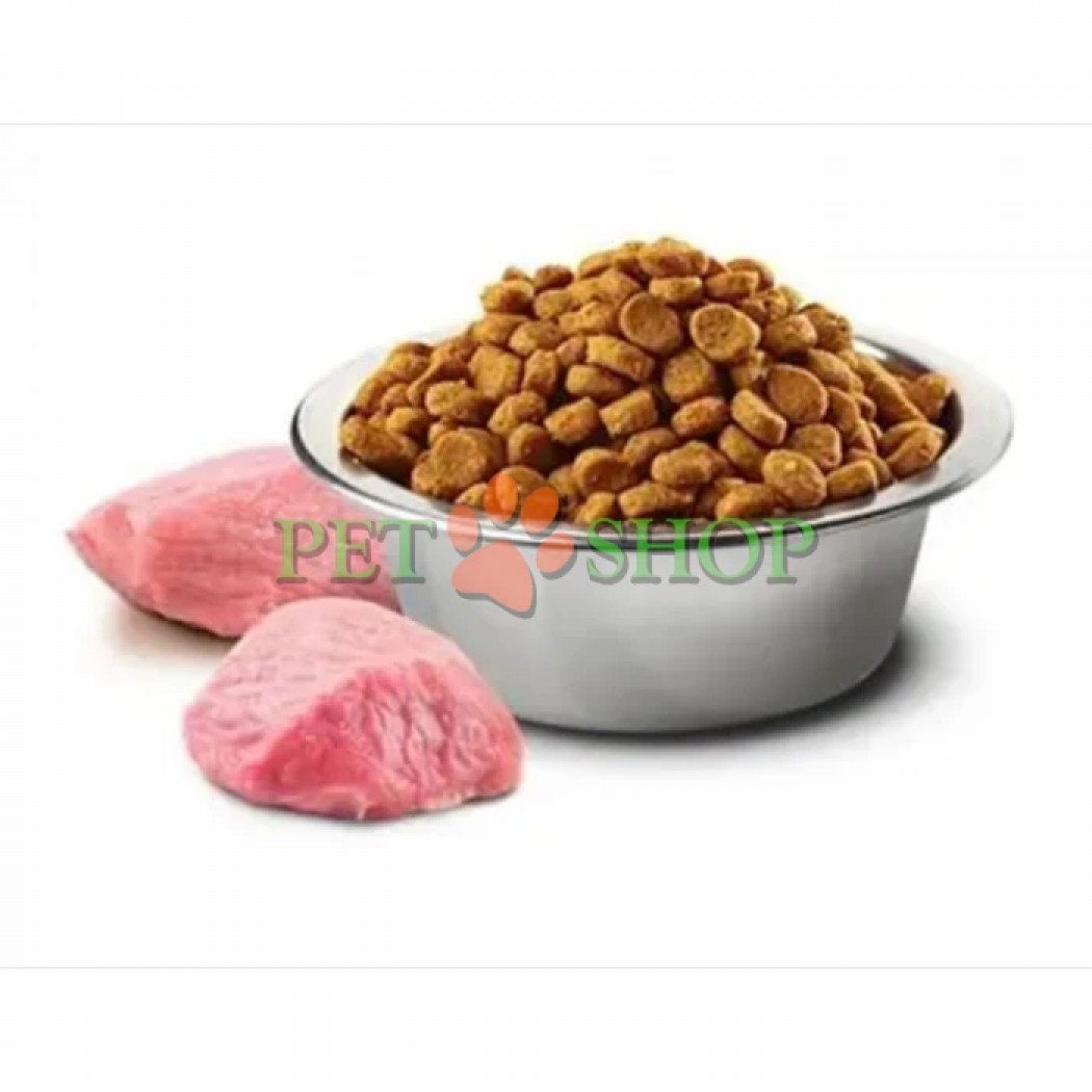 <p><strong>Farmina ND Pumpkin Dog Grain Free Lamb,&nbsp;Blueberry Adult Mini</strong> -&nbsp;hrană uscată completă, fără cereale, pentru c&acirc;ini adulți de talie mică.</p>