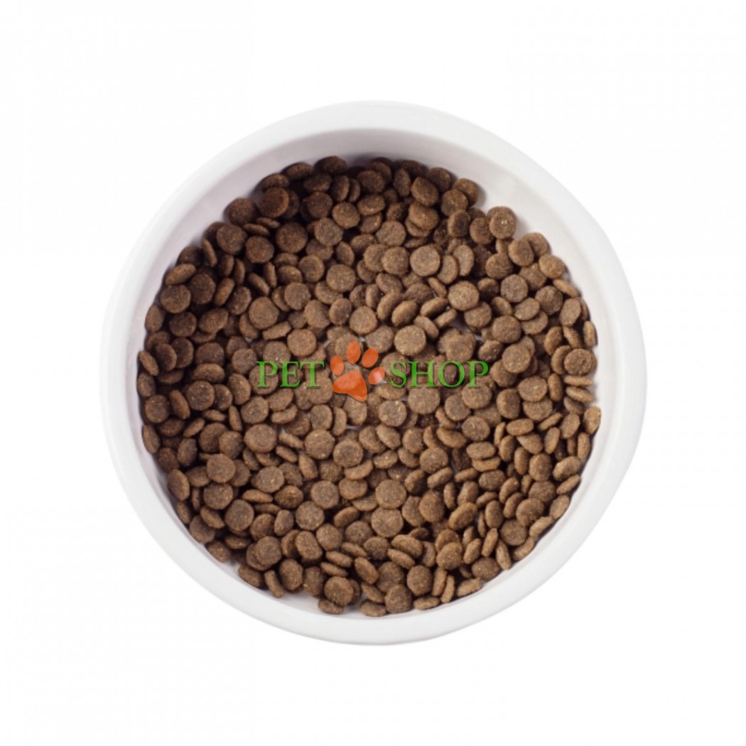 <p><strong>Nature's Protection Superior Care White Dogs Grain Free Insect Adult Small Breeds -&nbsp;</strong>полнорационный беззерновой корм с белком насекомых для взрослых собак малых пород весом от 1 до 10 кг с белым или светлым окрасом шерсти. Корм не содержит зерновые, поэтому подходит маленьким собакам с чувствительным пищеварением или склонностью к аллергии.</p>