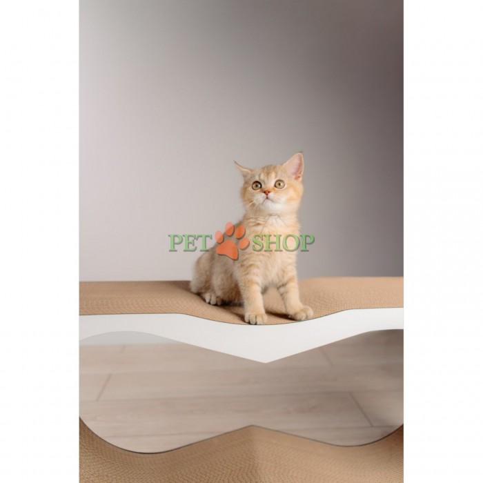 <p><strong>Dream XL</strong> &mdash; это продукт MurMarket, созданный для кошек, которым требуется максимальное пространство и комфорт. Изготавливаемая в собственной мастерской, эта модель является полным отражением философии MurMarket: функциональность, долговечность и забота о животных и окружающей среде.</p>