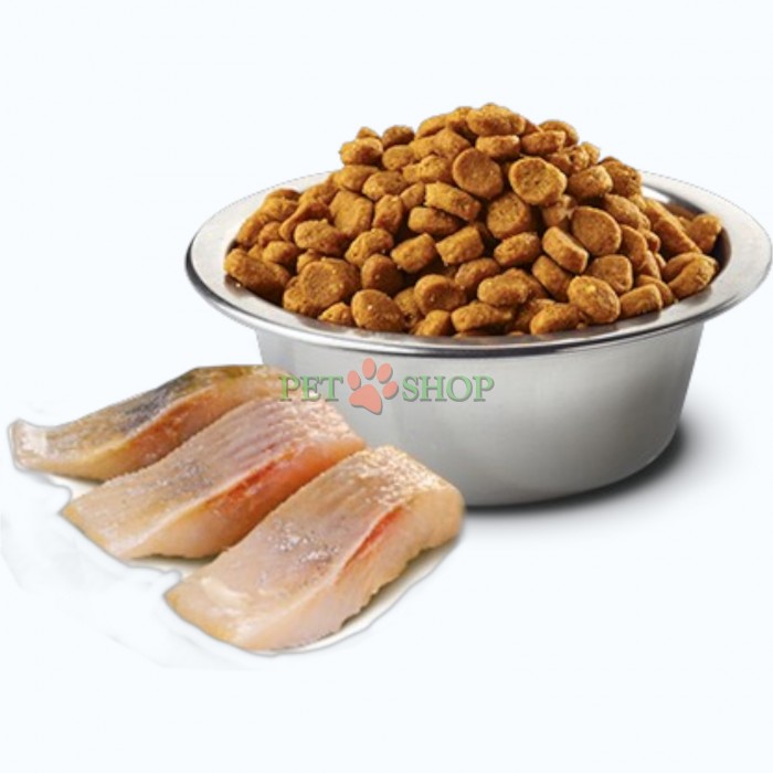 <p><strong>Farmina ND Ocean Neutered Cat Adult&nbsp;Herring, Orange -&nbsp;</strong>сельдь и апельсин. Полнорационный беззерновой сухой корм для стерилизованных кошек и кастрированных котов.</p>