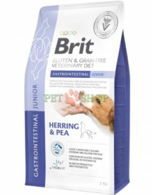 <p><strong>Brit GF Veterinary Diet Dog Gastrointestinal Junior - п</strong><strong>олнорационный диетический корм для щенков, молодых собак, а также беременных и лактирующих сук со вкусом сельди и гороха.&nbsp;</strong>Предназначен для снижения нарушений всасывания в кишечнике и компенсации нарушенного пищеварения.</p>

<h3>&nbsp;</h3>