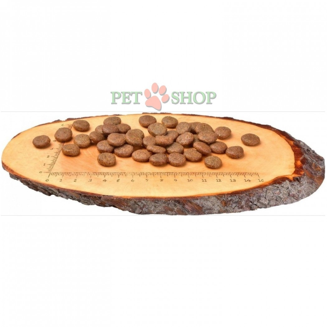 <p><strong>Carnilove Fresh Carp, Trout Shiny Hair, Healthy Skin for Adult dogs - </strong>hrană completă pentru c&acirc;ini adulți, de &icirc;naltă calitate, fără cereale și fără cartofi, cu carne proaspătă.</p>