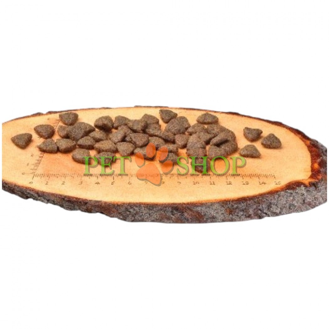<p><strong>Carnilove Dog Adult Salmon</strong> &mdash; hrană uscată completă, fără cereale, holistică pentru c&acirc;ini adulți de toate rasele&nbsp;cu somon.</p>