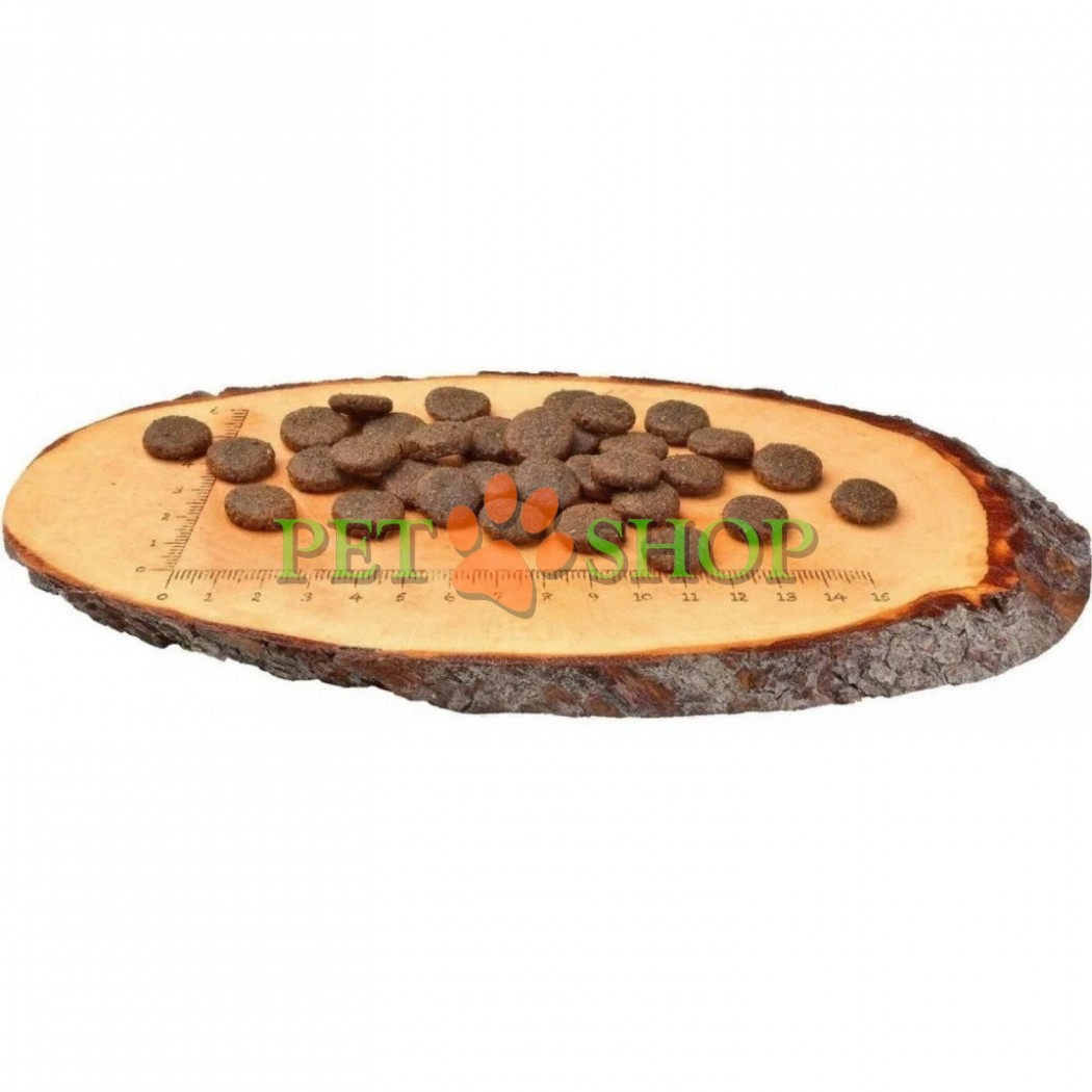 <p><strong>Carnilove Adult Large Breed Dog Salmon, Turkey</strong> este o hrană completă fără cereale, cu somon și curcan, pentru c&acirc;ini adulți de talie mare. Fără adaos de cereale și cartofi.</p>