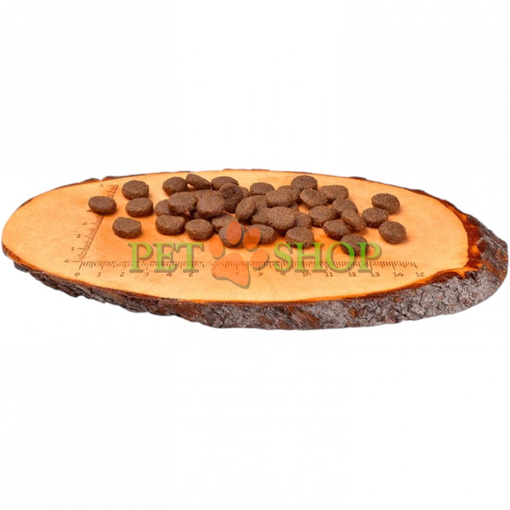 <p><strong>Carnilove Puppy Large Breed Salmon, Turkey</strong> &ndash; hrană completă fără cereale cu somon și curcan pentru căței de talie mare. Fără adaos de cereale și cartofi.</p>