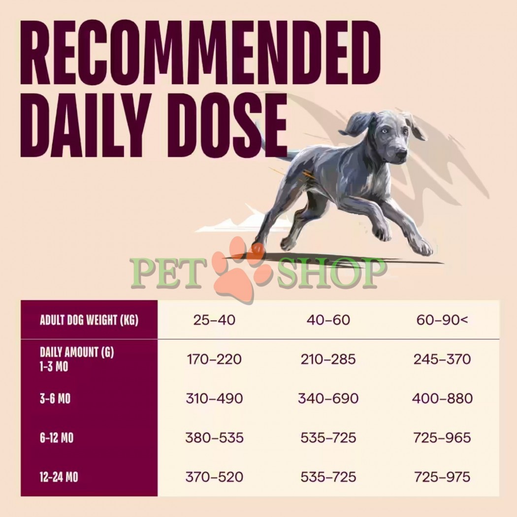 <p><strong>Carnilove Junior Large Breed Salmon, Turkey</strong> &ndash; hrană completă <strong>ACTIVE cu somon și curcan</strong> pentru c&acirc;ini tineri de talie mare <strong>(de la 1 p&acirc;nă la 24 de luni, cu greutatea de peste 25 kg)</strong>. <strong>Carne proaspătă &ndash; Fără carne și grăsime de pui &ndash; Fără cereale.</strong></p>