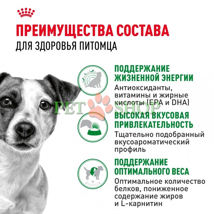 <p><strong>Royal Canin Mini Adult 8+</strong> &mdash; hrană uscată pentru c&acirc;ini adulți de talie mică (p&acirc;nă la 10 kg), cu v&acirc;rsta de peste 8 ani.</p>