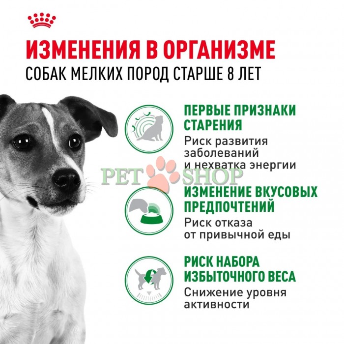 <p><strong>Royal Canin Mini Adult 8+</strong> &mdash; hrană uscată pentru c&acirc;ini adulți de talie mică (p&acirc;nă la 10 kg), cu v&acirc;rsta de peste 8 ani.</p>