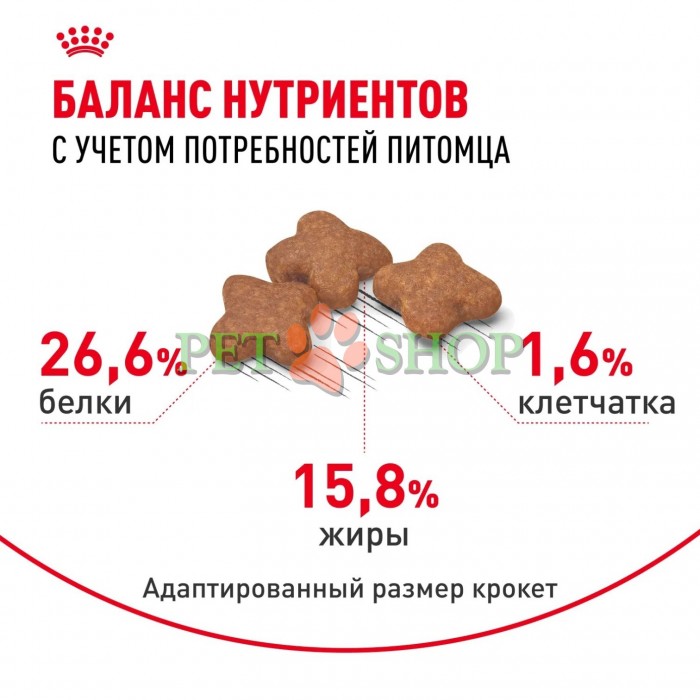 <p><strong>Royal Canin Mini Adult 8+</strong> &mdash; hrană uscată pentru c&acirc;ini adulți de talie mică (p&acirc;nă la 10 kg), cu v&acirc;rsta de peste 8 ani.</p>