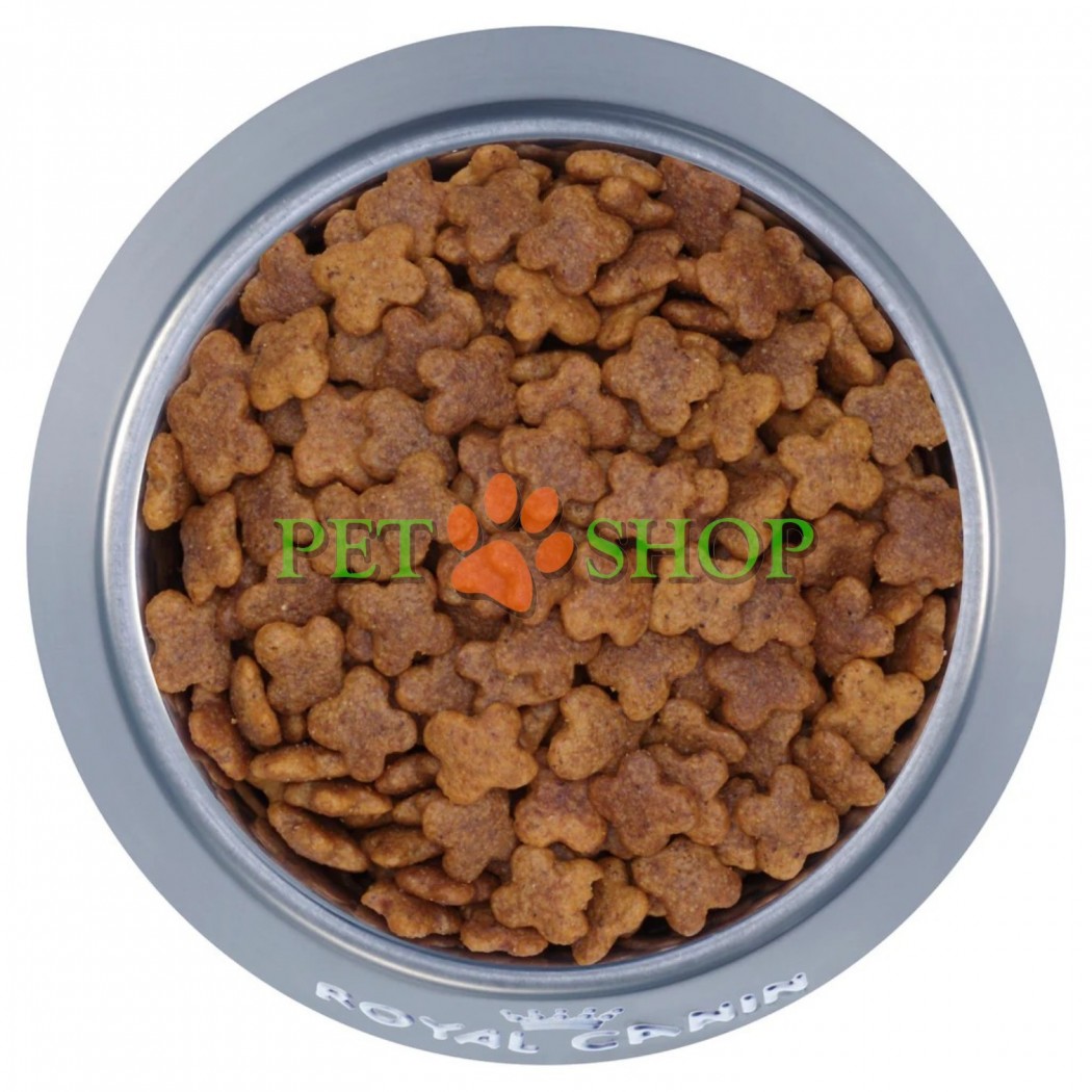<p><strong>Royal Canin Mini Adult 8+</strong> &mdash; hrană uscată pentru c&acirc;ini adulți de talie mică (p&acirc;nă la 10 kg), cu v&acirc;rsta de peste 8 ani.</p>