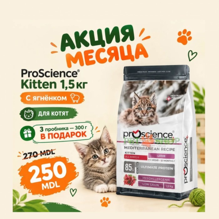 <p><strong>ProScience Kitten Lamb Cat &mdash; Healthy Growth &mdash; Mediterranean Recipe</strong> este o hrană uscată completă și echilibrată pentru pisoi&nbsp;cu miel.</p>