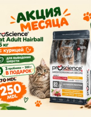 <p><strong>ProScience Cat Adult Hairball</strong> este o hrană uscată extrudată, completă și echilibrată pentru pisici adulte. Conține <strong>82% proteine de origine animală</strong> și o formulă hipoalergenică, cu conținut redus de cereale. Hrana contribuie la controlul formării ghemotoacelor de păr și oferă o alimentație completă și echilibrată pentru menținerea sănătății și vitalității pisicii adulte.</p>