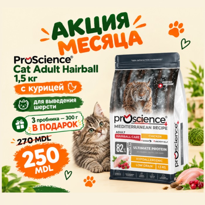 <p><strong>ProScience Cat Adult Hairball</strong> este o hrană uscată extrudată, completă și echilibrată pentru pisici adulte. Conține <strong>82% proteine de origine animală</strong> și o formulă hipoalergenică, cu conținut redus de cereale. Hrana contribuie la controlul formării ghemotoacelor de păr și oferă o alimentație completă și echilibrată pentru menținerea sănătății și vitalității pisicii adulte.</p>