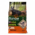 Monge Dog BWild Grain Free Mini