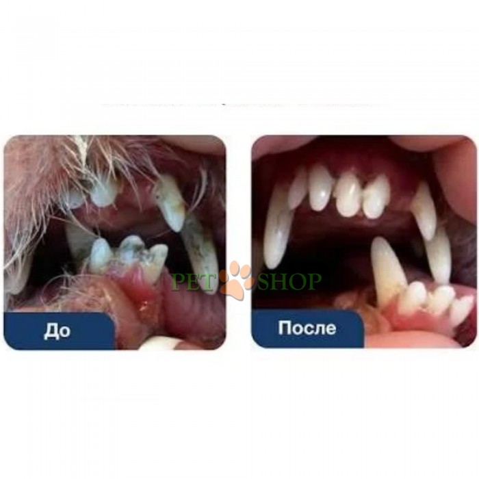 <p><strong>Vet Expert PlaqueOff</strong> &mdash; это <strong>100% натуральная пищевая добавка<!--TgQPHd|||[]--></strong> в виде порошка (гранул), предназначенная для ежедневной гигиены ротовой полости, уменьшения зубного налета, профилактики зубного камня и устранения неприятного запаха из пасти у собак и кошек.</p>