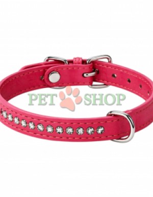 <p><strong>1.2*30 cm Astor&nbsp;кожаный ошейник Vip</strong>&nbsp;- подходит для мелких пород собак и кошек.&nbsp;Модель украшена аккуратными декоративными стразами. ЦВЕТА УТОЧНЯЙТЕ У ОПЕРАТОРА!</p>