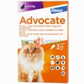 Advocate