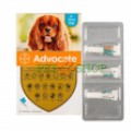 Advocate