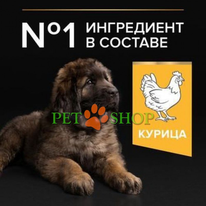 <p>Hrană uscată completă <strong>Purina Pro Plan Large Robust Puppy</strong> pentru căței de talie mare cu constituție robustă, cu pui &ndash; potrivită și pentru femele gestante și &icirc;n perioada de lactație.</p>