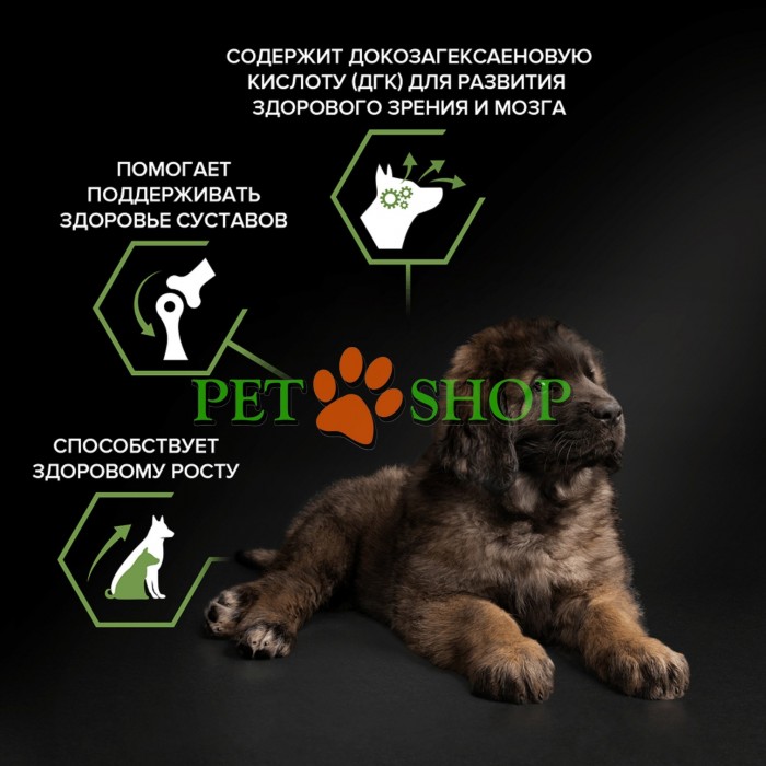 <p>Hrană uscată completă <strong>Purina Pro Plan Large Robust Puppy</strong> pentru căței de talie mare cu constituție robustă, cu pui &ndash; potrivită și pentru femele gestante și &icirc;n perioada de lactație.</p>