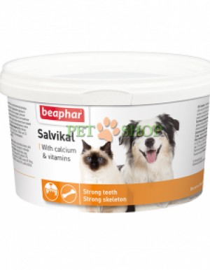<p><strong>Кормовая витаминно-минеральная добавка Salvikal для собак и кошек с 12-месяцев, используется для придания животным жизненной силы, укрепления мускулатуры, зубов и костей.</strong></p>