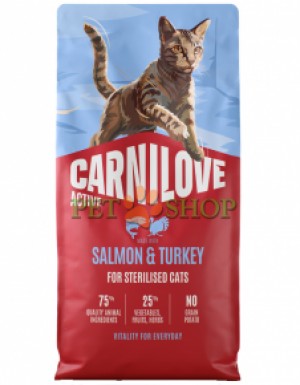 <p><strong>Hrană completă ACTIVE, fără cereale și cartofi, pentru pisici adulte, cu somon și curcan, destinată pisicilor adulte de toate rasele. -</strong>&nbsp;<strong>Carne proaspătă și organe&nbsp;-&nbsp;Fără carne și grăsime de pui -</strong><strong>&nbsp;Fără cereale.</strong></p>