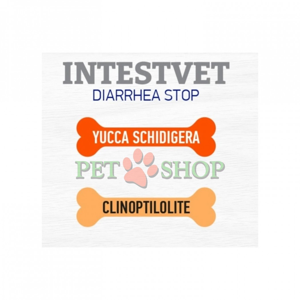 <p><strong>Dr. Vet IntestVet -&nbsp;</strong>este un produs destinat prevenirii și stopării diareei la c&acirc;ini și pisici. Contribuie la restabilirea absorbției intestinale normale și la eliminarea substanțelor nocive din tractul digestiv.</p>