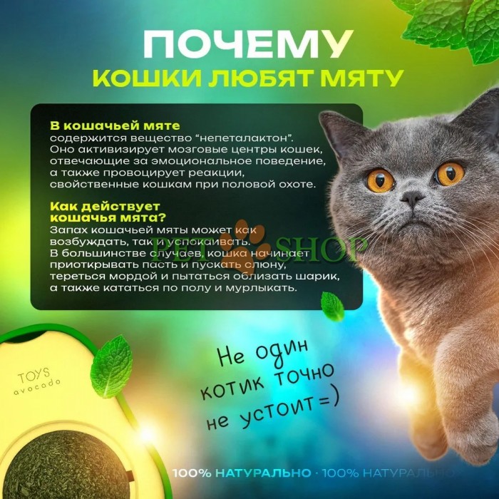 <p><strong>Вращающийся мяч из кошачьей мяты, игрушка для домашней кошки, самоклеящийся мяч для чистки зубов кошки</strong></p>