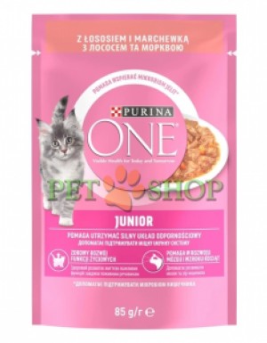 <p><strong>Влажный корм PURINA ONE Junior для котят кусочки в соусе с лососем и морковью 85 гр</strong></p>