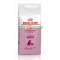 Royal Canin Mother, Babycat 10 kg