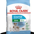 Royal Canin Mini Starter Mother, Babydog 4 kg