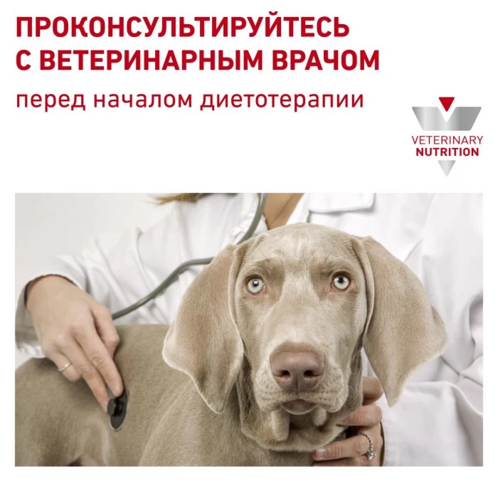 <p>Royal Canin Urinary S/O Dog&nbsp;&mdash; dietă pentru c&acirc;ini &icirc;n caz de afecțiuni ale tractului urinar distal.</p>