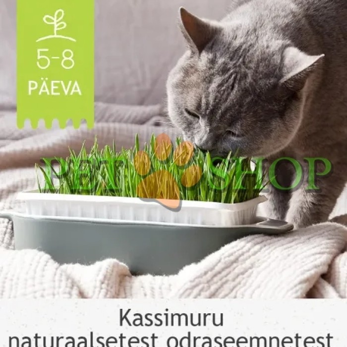 <p><strong>Трава для кошек из семян ячменя, в питательном субстрате Katzen-Gras (GimCat)</strong></p>