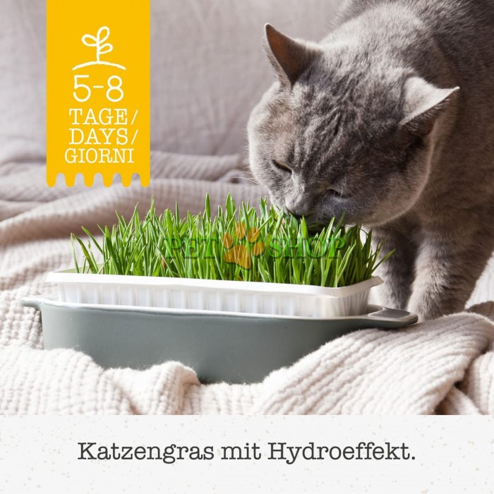 <p><strong>Трава Gimpet GimCat – это полноценное средство для обеспечения кошек витаминами группы B. </strong></p>