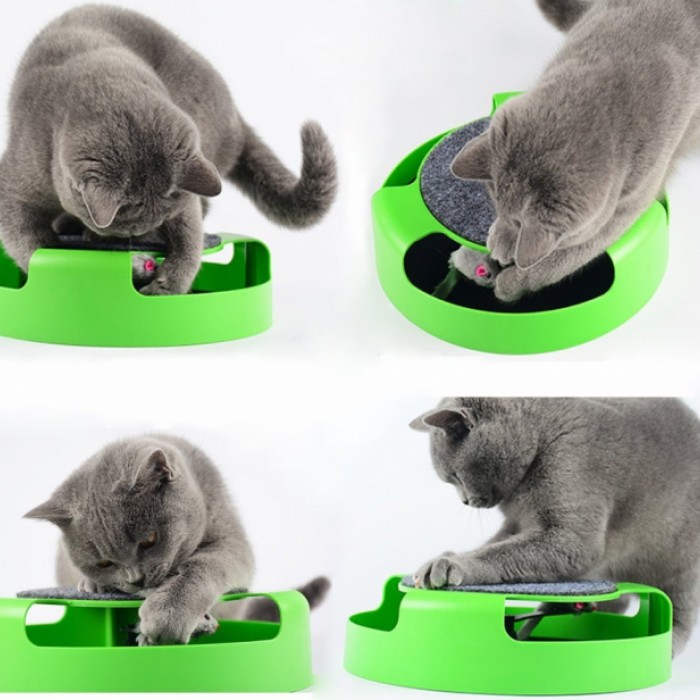 <p><strong>Интерактивные игрушки для кошек пробуждают у них живой интерес и занимают на долгое время. </strong></p>