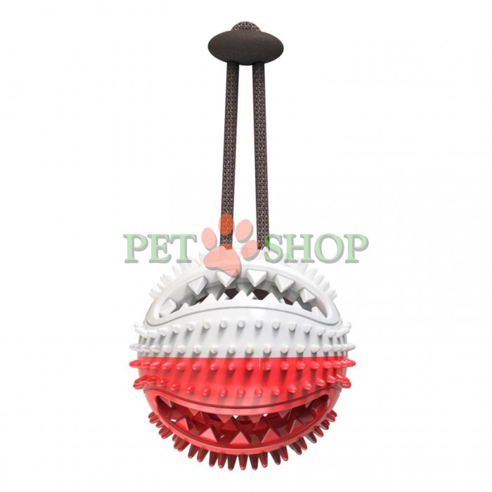 <p>Функциональная игрушка в виде мяча, разработанная специально для собак.</p>