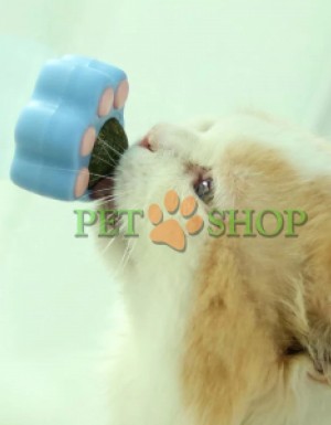 <p><strong>Jucarie cu suport autoadeziv pentru atasarea pe suprafete netede plastic/catnip. Diametru: 5 cm</strong></p>