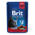 Brit Premium Cat 100 gr