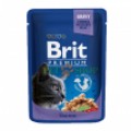 Brit Premium Cat 100 gr
