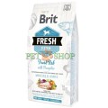 Brit Fresh Fish with Pumpkin Adult Large 2.5 kg