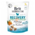 Brit Care Dog Recovery Herring 150 gr