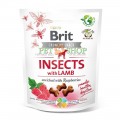 Brit Care Insects with Lamb 200 gr