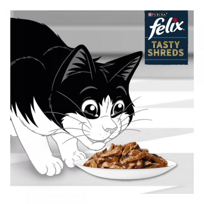 <p><strong>Корм Felix Tasty Shreds для кошек 2 шт с лососем и 2 шт тунцом, 4 шт х 80 грамм</strong></p>