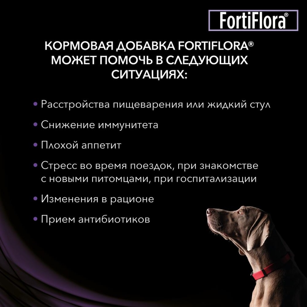<p><strong>Пищевая добавка для собак и щенков Pro Plan Veterinary Diets Forti Flora для нормализации микрофлоры желудочно-кишечного тракта, 1 пакетик * 1 грамм</strong></p>