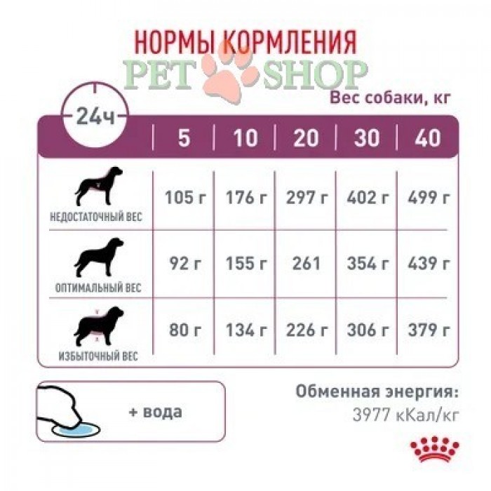 <p>Royal Canin Renal Dog -&nbsp;hrană uscată pentru c&acirc;ini adulți pentru susținerea funcției renale.<br />
&nbsp;</p>