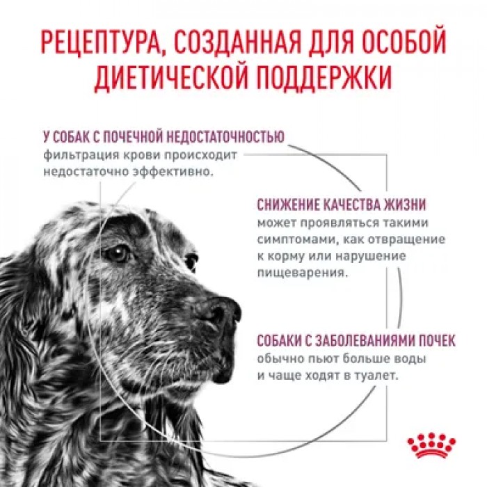 <p>Royal Canin Renal Dog -&nbsp;hrană uscată pentru c&acirc;ini adulți pentru susținerea funcției renale.<br />
&nbsp;</p>