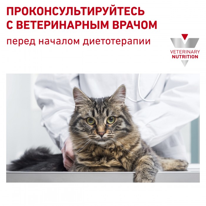 <p><strong>Корм сухой полнорационный диетический для взрослых кошек, применяемый при пищевой аллергии или пищевой непереносимости. Ветеринарная диета.</strong></p>