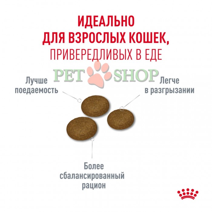<p><strong>Royal Canin&nbsp;Fussy&nbsp;Exigent - корм для кошек, привередливых к ВКУСУ продукта 2 кг&nbsp;</strong></p>